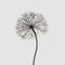 Lumi Light Up Dandelion 210cm with 1200 LED Warm White Lights | Christmas Decorations by Florabelle Living. Australian Art Prints, Gifts, Fashion and Homewares. Green Door Decor. www.greendoordecor.com.au