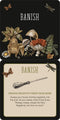 Insight Cards | Everyday Spells for Busy Witches by Peter Pauper Press. Australian Art Prints, Gifts, Fashion and Homewares. Green Door Decor. www.greendoordecor.com.au