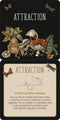 Insight Cards | Everyday Spells for Busy Witches by Peter Pauper Press. Australian Art Prints, Gifts, Fashion and Homewares. Green Door Decor. www.greendoordecor.com.au