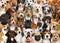 Jigsaw Puzzle (500 Pieces) | All The Dogs by Peter Pauper Press. Australian Art Prints, Gifts, Fashion and Homewares. Green Door Decor. www.greendoordecor.com.au