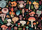 Jigsaw Puzzle (1000 Pieces) | Mushrooms by Peter Pauper Press. Australian Art Prints, Gifts, Fashion and Homewares. Green Door Decor. www.greendoordecor.com.au