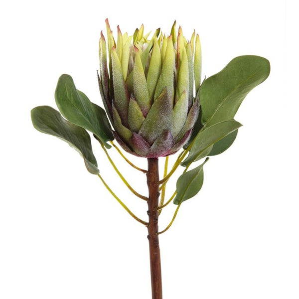 Faux Flower | Protea King 60cm Green. We proudly support fun and beautiful art prints, textiles, homewares and jewellery by Aussie Creatives. www.greendoordecor.com.au