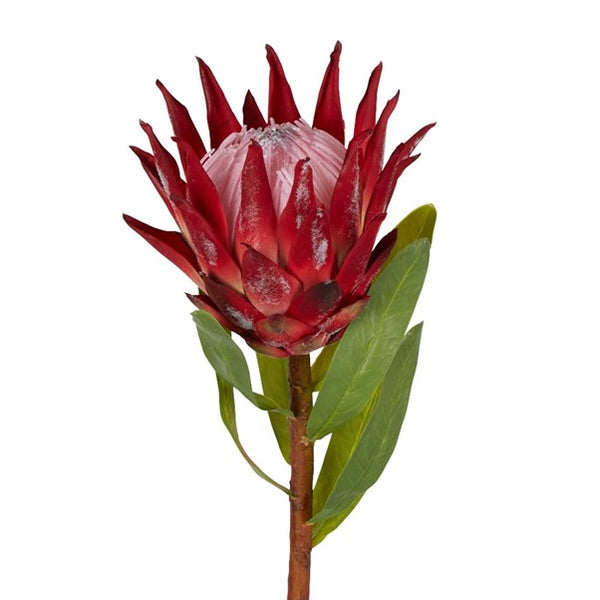 Faux Flower | King Protea 75cm Red. We proudly support fun and beautiful art prints, textiles, homewares and jewellery by Aussie Creatives. www.greendoordecor.com.au