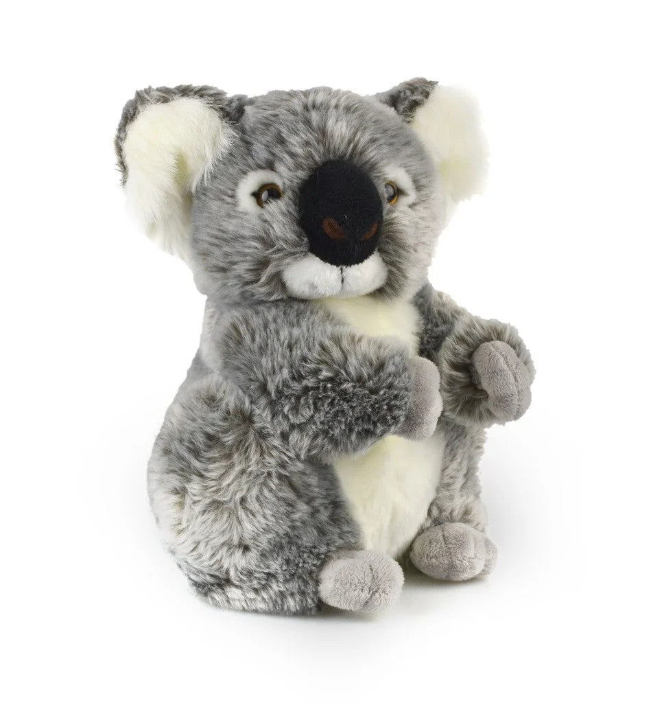 Koala Kalypso | 28cm by Korimco. Australian Art Prints, Gifts, Fashion and Homewares. Green Door Decor. www.greendoordecor.com.au