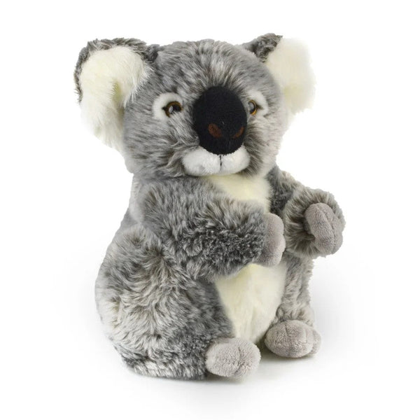 Koala Kalypso | 21cm by Korimco. Australian Art Prints, Gifts, Fashion and Homewares. Green Door Decor. www.greendoordecor.com.au