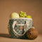 Holiday Mini Cooler | Kollab X Karen Walker | Sage Monogram by Kollab. Australian Art Prints and Homewares. Green Door Decor. www.greendoordecor.com.au
