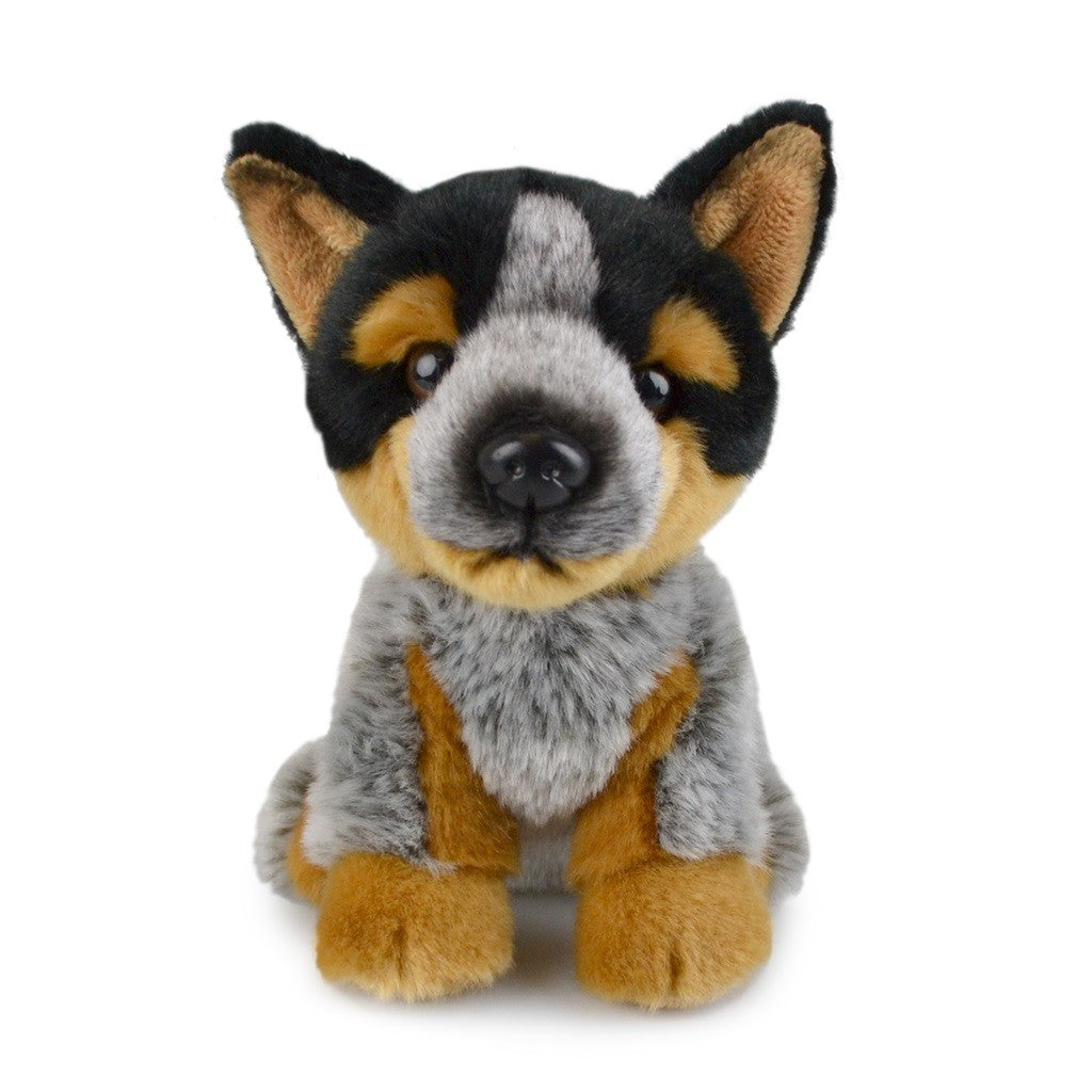 Lil Friends Blue Heeler | 18cm by Korimco. Australian Art Prints, Gifts, Fashion and Homewares. Green Door Decor. www.greendoordecor.com.au