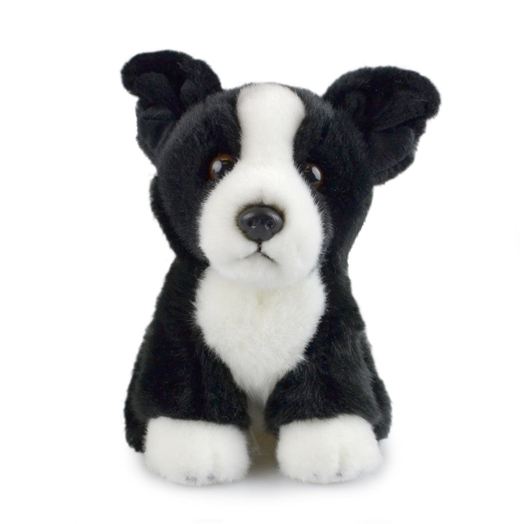 Lil Friends Border Collie | 18cm by Korimco. Australian Art Prints, Gifts, Fashion and Homewares. Green Door Decor. www.greendoordecor.com.au