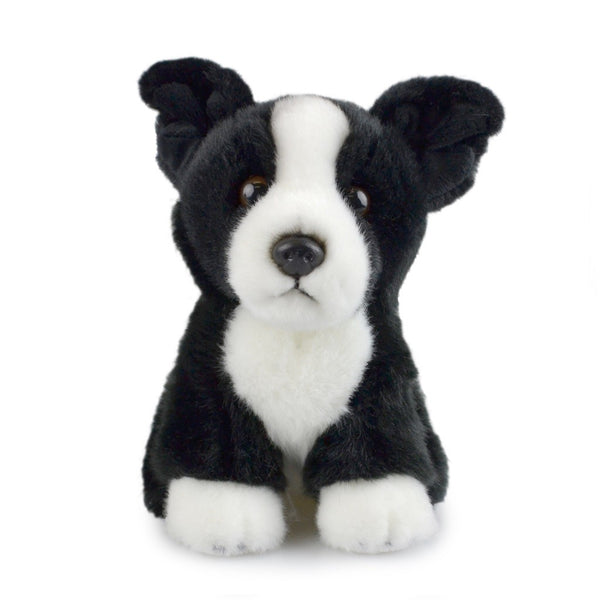 Lil Friends Border Collie | 18cm by Korimco. Australian Art Prints, Gifts, Fashion and Homewares. Green Door Decor. www.greendoordecor.com.au