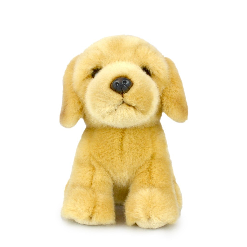 Lil Friends Labrador | 18cm by Korimco. Australian Art Prints, Gifts, Fashion and Homewares. Green Door Decor. www.greendoordecor.com.au