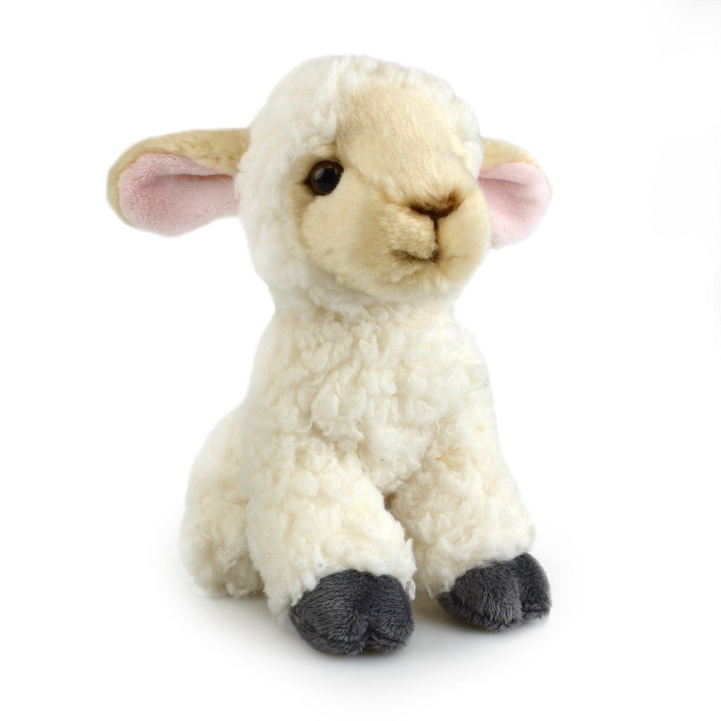 Lil Friends Lamb | 18cm by Korimco. Australian Art Prints, Gifts, Fashion and Homewares. Green Door Decor. www.greendoordecor.com.au