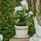 Lisbon Herb Pot | Medium by French Country Collections. Australian Art Prints, Fashion and Homewares. Green Door Decor. www.greendoordecor.com.au