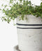 Lisbon Herb Pot | Medium by French Country Collections. Australian Art Prints, Fashion and Homewares. Green Door Decor. www.greendoordecor.com.au