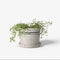 Lisbon Herb Pot | Small by French Country Collections. Australian Art Prints, Fashion and Homewares. Green Door Decor. www.greendoordecor.com.au
