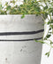 Lisbon Herb Pot | Small by French Country Collections. Australian Art Prints, Fashion and Homewares. Green Door Decor. www.greendoordecor.com.au