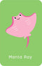 Little Genius Vol. 2 Snap Cards | Go Fish by Lake Press. Australian Art Prints, Gifts, Fashion and Homewares. Green Door Decor. www.greendoordecor.com.au
