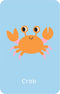 Little Genius Vol. 2 Snap Cards | Go Fish by Lake Press. Australian Art Prints, Gifts, Fashion and Homewares. Green Door Decor. www.greendoordecor.com.au