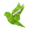 Lulu the Lorikeet Brooch | Erstwilder. Australian Art Prints and Homewares. Green Door Decor. www.greendoordecor.com.au