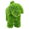 LUNA Topiary Cypress Puppy - Light Green 37cm by HG Living. Australian Art Prints, Gifts, Fashion and Homewares. Green Door Decor. www.greendoordecor.com.au