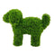 LUNA Topiary Cypress Puppy - Light Green 37cm by HG Living. Australian Art Prints, Gifts, Fashion and Homewares. Green Door Decor. www.greendoordecor.com.au