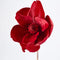 Luxe Velvet Clip On Magnolia Small - Red | Christmas Decoration by Florabelle. Australian Art Prints and Homewares. Green Door Decor. www.greendoordecor.com.au