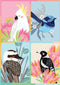 Magnet Greeting Card - Christie Williams | Aussie Birds by Aero Images. Australian Art Prints and Homewares. Green Door Decor. www.greendoordecor.com.au