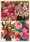 Magnet Greeting Card - Kirsten Katz | Australian Flowers No. 2 by Aero Images. Australian Art Prints and Homewares. Green Door Decor. www.greendoordecor.com.au