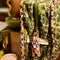 'Magnolia' Vanity Bag | Cactus Green by Sage and Clare. Australian Art Prints, Gifts, Fashion and Homewares. Green Door Decor. www.greendoordecor.com.au