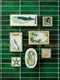 Mariner Box | Shell by Jones and Co. Australian Art Prints, Gifts, Fashion and Homewares. Green Door Decor. www.greendoordecor.com.au