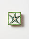 Mariner Box | Starfish by Jones and Co. Australian Art Prints, Gifts, Fashion and Homewares. Green Door Decor. www.greendoordecor.com.au