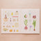 Market Days | Colouring & Stickers Book by Zoe De Las Cases. Australian Art Prints, Gifts, Fashion and Homewares. Green Door Decor. www.greendoordecor.com.au