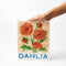 Market Wall Art | Dahlia by Jones and Co. Australian Art Prints, Gifts, Fashion and Homewares. Green Door Decor. www.greendoordecor.com.au