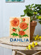 Market Wall Art | Dahlia by Jones and Co. Australian Art Prints, Gifts, Fashion and Homewares. Green Door Decor. www.greendoordecor.com.au