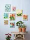 Market Wall Art | Poppy by Jones and Co. Australian Art Prints, Gifts, Fashion and Homewares. Green Door Decor. www.greendoordecor.com.au