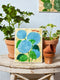 Market Wall Art | Hydrangea by Jones and Co. Australian Art Prints, Gifts, Fashion and Homewares. Green Door Decor. www.greendoordecor.com.au