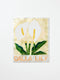 Market Wall Art | Lily
