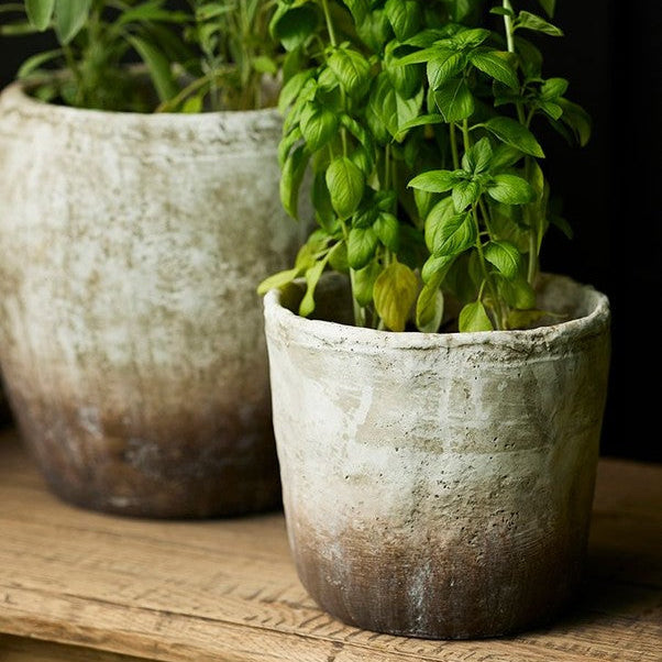 Marron Planter Pot by French Country Collections. Australian Art Prints and Homewares. Green Door Decor. www.greendoordecor.com.au