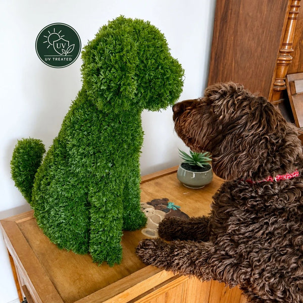 MAX Topiary Cypress Dog (UV Treated) - Green 60cm by HG Living. Australian Art Prints, Gifts, Fashion and Homewares. Green Door Decor. www.greendoordecor.com.au