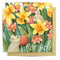 Greeting Card | Mice in Daffodils by La La Land. Australian Art Prints, Gifts, Fashion and Homewares. Green Door Decor. www.greendoordecor.com.au