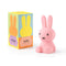Miffy Colourful Surprise Collection. Australian Art Prints, Gifts, Fashion and Homewares. Green Door Decor. www.greendoordecor.com.au