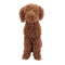 MILO Topiary Cypress Dog (UV Treated) - Light Brown 60cm by HG Living. Australian Art Prints, Gifts, Fashion and Homewares. Green Door Decor. www.greendoordecor.com.au