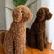 MILO Topiary Cypress Dog (UV Treated) - Light Brown 60cm by HG Living. Australian Art Prints, Gifts, Fashion and Homewares. Green Door Decor. www.greendoordecor.com.au