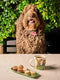 Mug | Family Portrait by La La Land. Australian Art Prints, Gifts, Fashion and Homewares. Green Door Decor. www.greendoordecor.com.au
