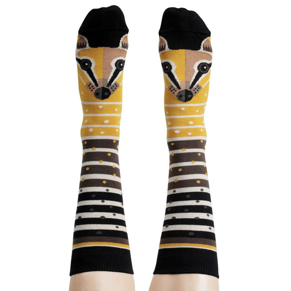 'Numbat' Socks by Wilson Payne. Australian Art Prints and Homewares. Green Door Decor. www.greendoordecor.com.au