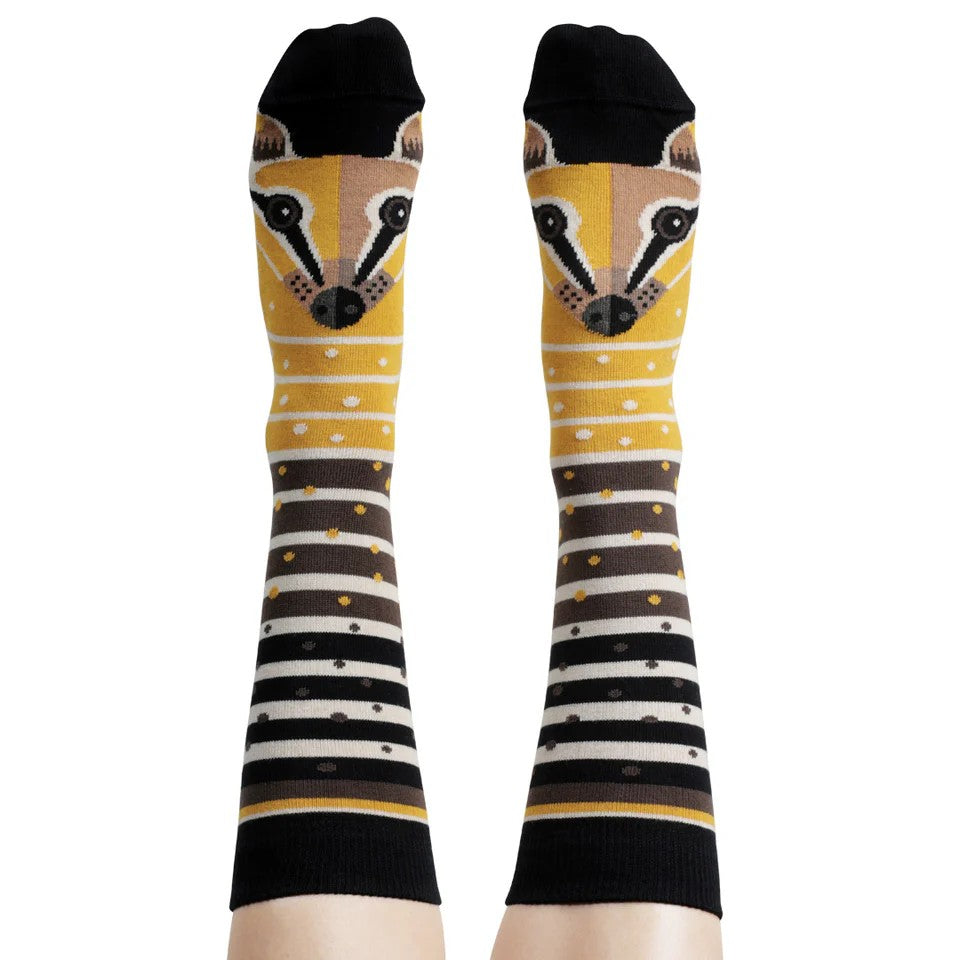 'Numbat' Socks by Wilson Payne. Australian Art Prints and Homewares. Green Door Decor. www.greendoordecor.com.au