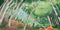 On a Bushwalk Book by Andrea Rowe. Australian Art Prints, Gifts, Fashion and Homewares. Green Door Decor. www.greendoordecor.com.au