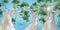 On a Bushwalk Book by Andrea Rowe. Australian Art Prints, Gifts, Fashion and Homewares. Green Door Decor. www.greendoordecor.com.au