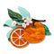 Orange Crush Brooch | Erstwilder. Australian Art Prints, Gifts, Fashion and Homewares. Green Door Decor. www.greendoordecor.com.au