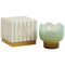 Paddywax | Tulip Candle | Wisteria & Willow by Designworks Collective Australia. Australian Art Prints, Gifts, Fashion and Homewares. Green Door Decor. www.greendoordecor.com.au
