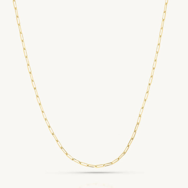 'Paperclip' Gold Chain by ToniMay. Australian Art Prints, Gifts, Fashion and Homewares. Green Door Decor. www.greendoordecor.com.au